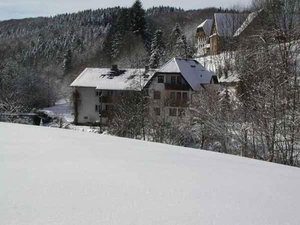 Pension Schneider Фрайамт Экстерьер фото